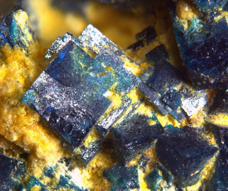 Boleite specimen